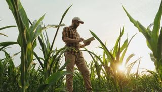 Como atrair as novas gera&ccedil;&otilde;es para a agricultura e a floresta? B-Rural Summit debate renova&ccedil;&atilde;o geracional no setor