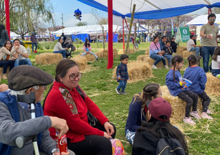 ¿Cómo celebrar en Santiago las Fiestas Patrias? Los mejores panoramas para el Dieciocho