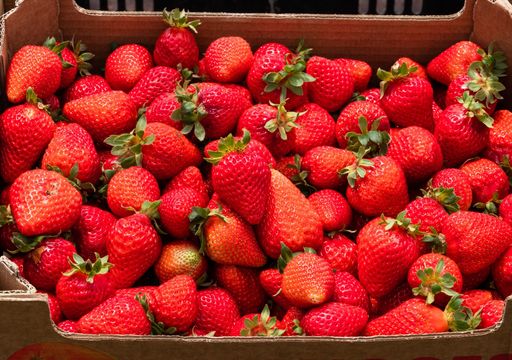 Frutillas frescas