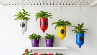 C&oacute;mo crear macetas de autoriego con botellas de pl&aacute;stico: recicl&aacute;, ahorr&aacute; agua y olvidate de regar