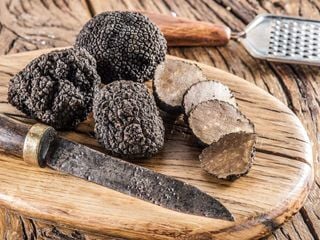 Como cultivar trufas: o "ouro negro" da Terra