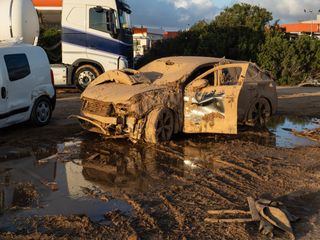 Leptospirosis: síntomas y tratamiento en humanos