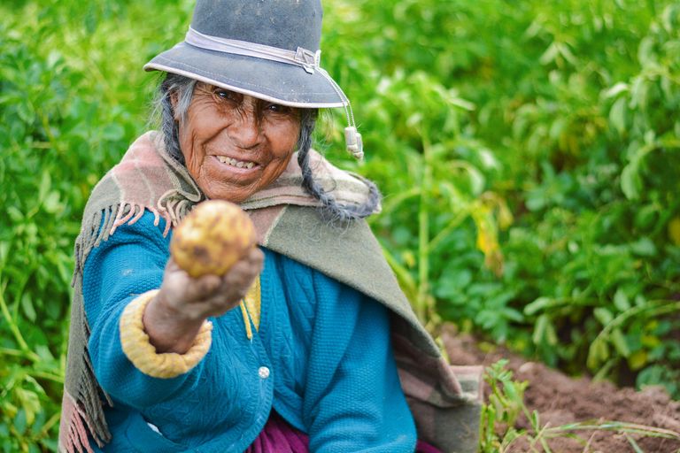 Campesina Campesina