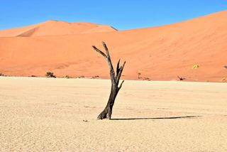 Cómo el clima genera crisis económicas, humanitarias y desata guerras