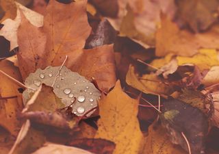 Crece la posibilidad de lluvias en el centro sur esta primera quincena