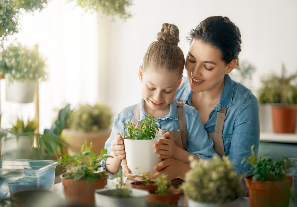 personas cuidando de plantas en maceteros