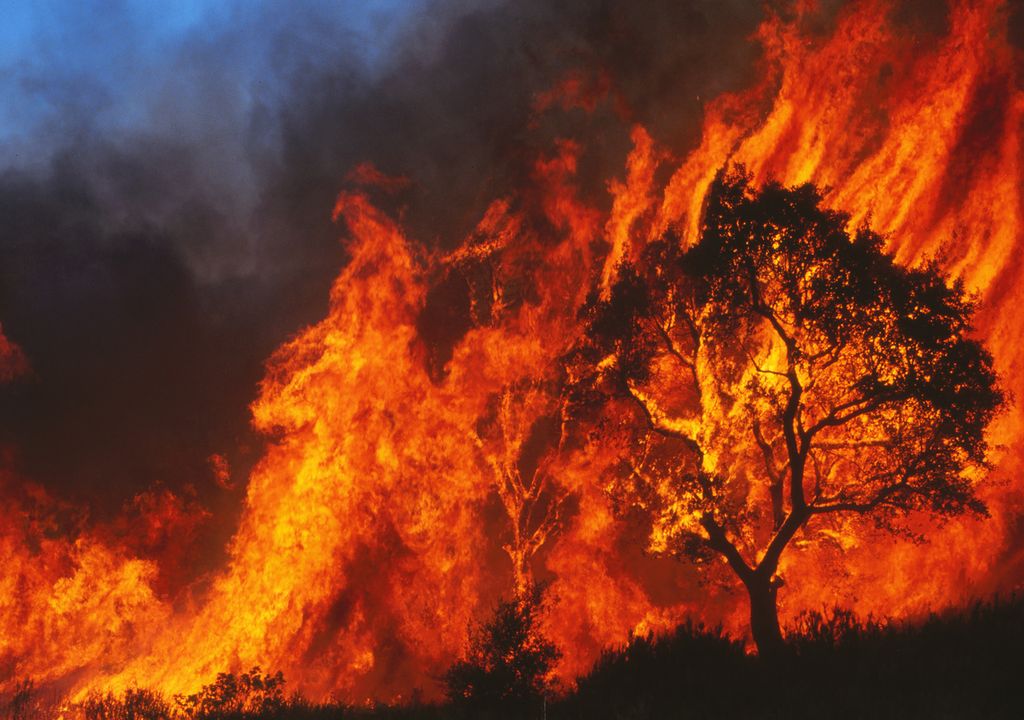 Incendio forestal Tenerife calentamiento global
