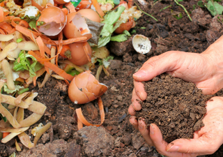 Comment faire du compost à la maison ? Toutes les bonnes astuces pour un jardin en excellente santé !