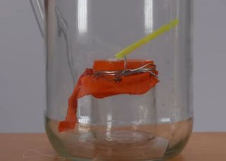 Cómo hacer un barómetro simple