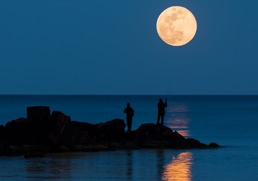 Cómo influye la Luna en las mareas: la explicación del astrofísico Zeus Valtierra