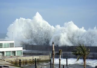 ¿Cómo la energía de un tsunami es capaz de atravesar el océano Pacífico entero? La ciencia lo explica