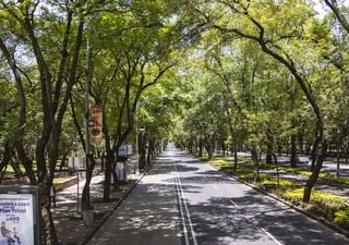 ¿Cómo la infraestructura verde mejora la vida en las ciudades?