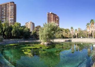 C&oacute;mo la vegetaci&oacute;n puede reducir hasta 10&deg;C la temperatura superficial en ciudades chilenas