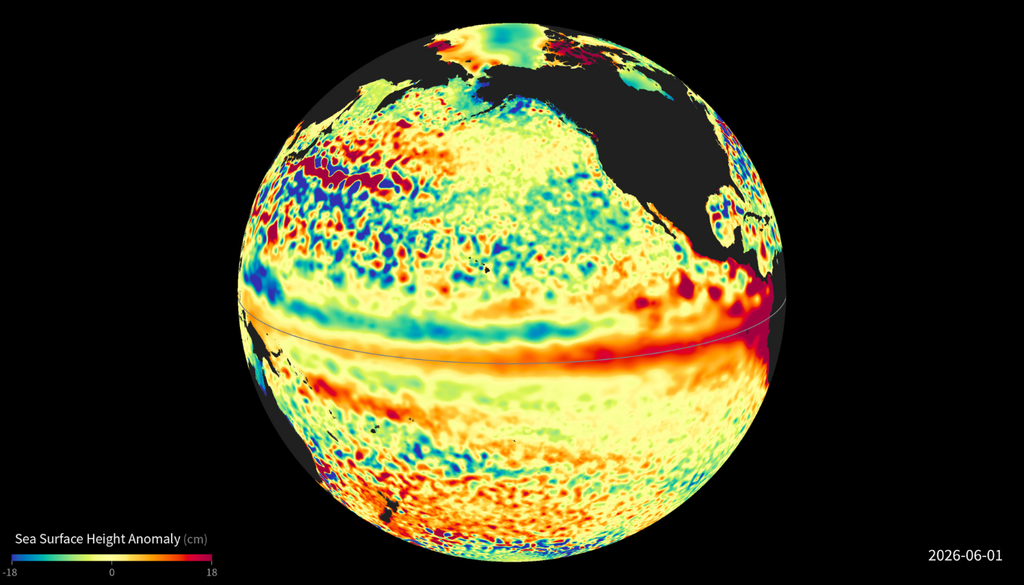 oceano; fitoplancton; altimetria; satelital Las ondas de Rossby se rastrean siguiendo desde el espacio anomalías del nivel del mar que avanzan hacia el oeste. Imagen tomada de la NASA Scientific Visualization Studio.