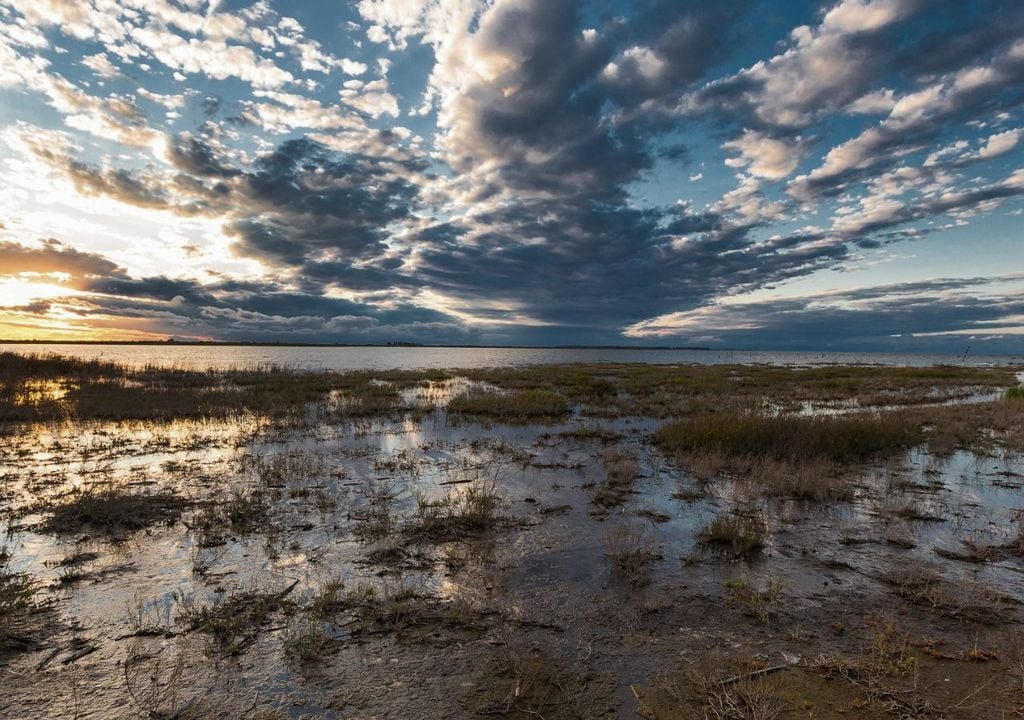 Qué hacer y cómo llegar a Mar de Ansenuza, Córdoba Qué hacer y cómo llegar a Mar de Ansenuza, Córdoba