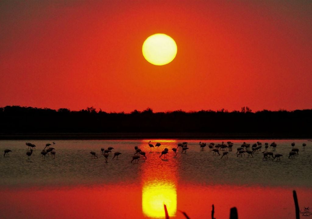 Qué hacer en Mar de Ansenuza, Córdoba Qué hacer en Mar de Ansenuza, Córdoba