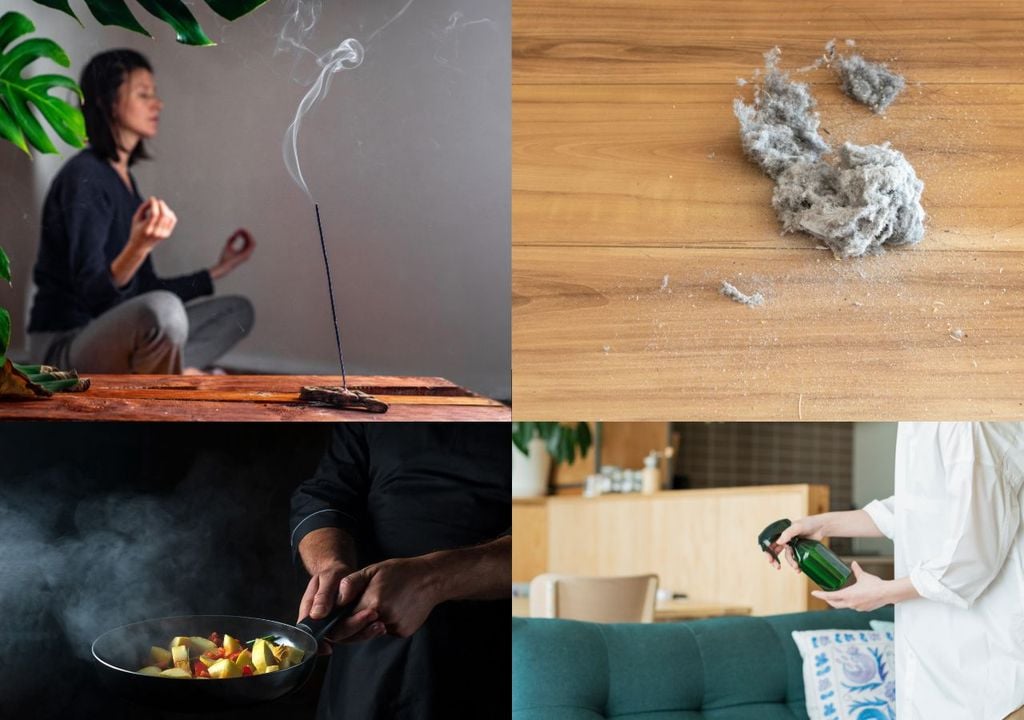 Polvo, humo de cocina, incienso y aromatizantes: fuentes cotidianas que pueden deteriorar la calidad del aire dentro del hogar.