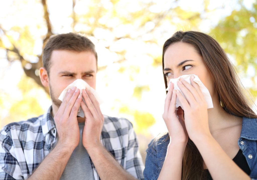 Gesundheit, Schleim, Nase