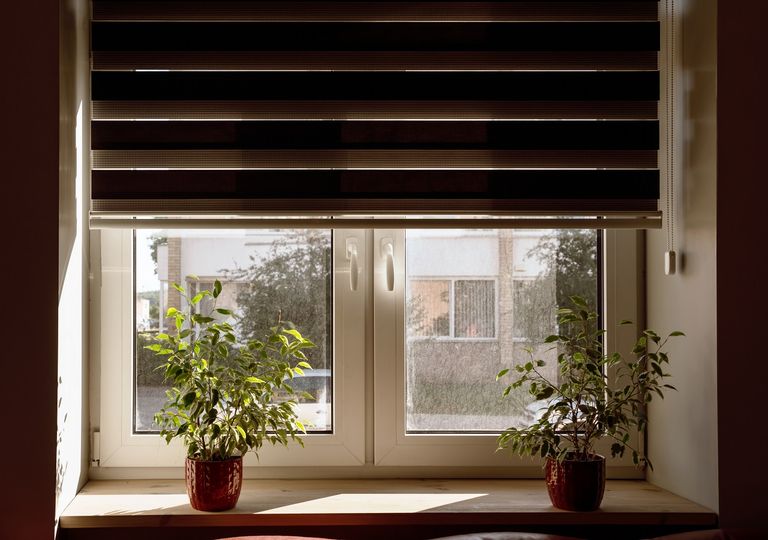 Ventana con persiana a medio cerrar adornada con plantas Ventana con persiana a medio cerrar adornada con plantas