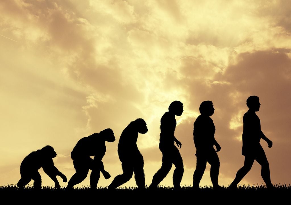 Evolución humana y clima