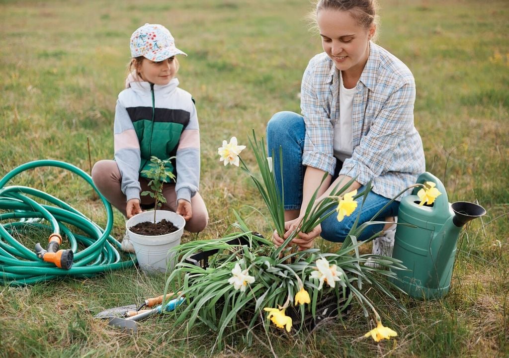 Más que la cantidad de agua, lo importante es el drenaje: suelos que retienen humedad pueden afectar el desarrollo incluso sin encharcamiento visible.