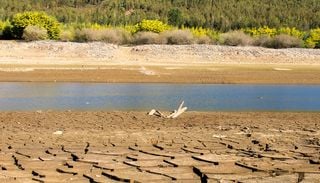 Como Portugal atravessou 20 anos de ver&otilde;es cada vez mais quentes