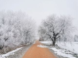 Qu&eacute; es la cencellada y c&oacute;mo se puede predecir este fen&oacute;meno con los mapas de Meteored