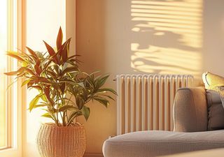 Cómo proteger a las plantas de interior del aire calefaccionado y seco de tu hogar este invierno