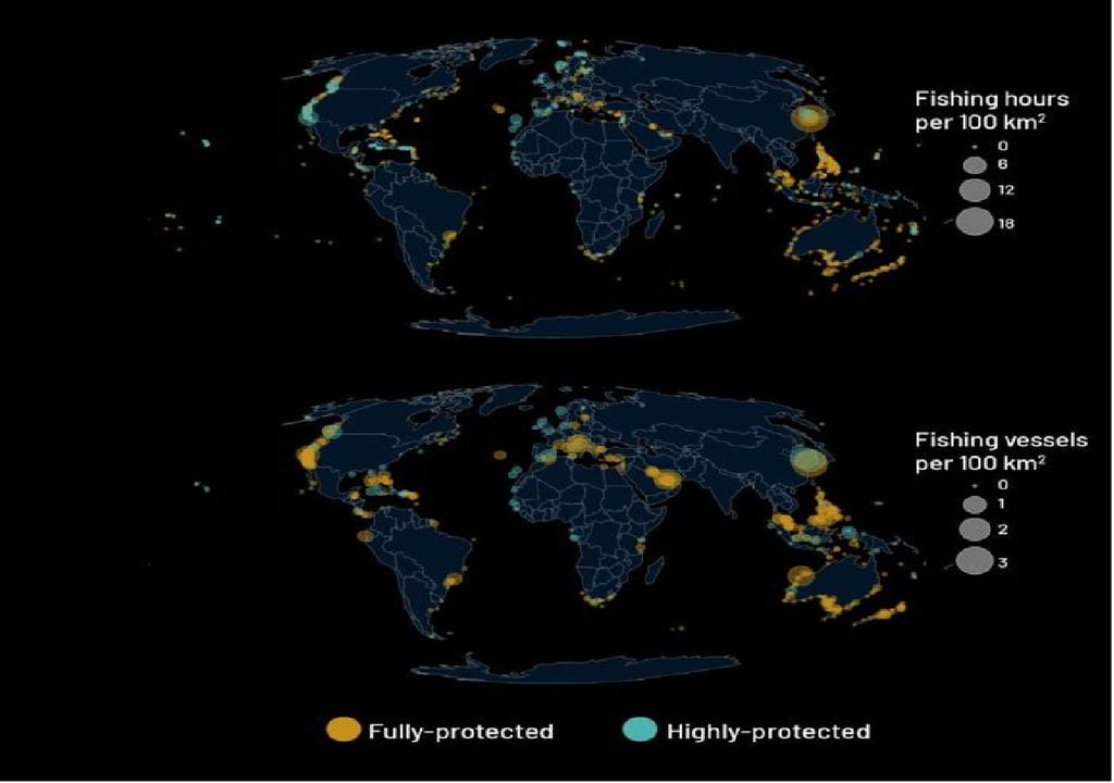 O mapa mostra a atividade pesqueira industrial, usando satélites e inteligência artificial para detetar embarcações ilegais O mapa mostra a atividade pesqueira industrial, usando satélites e inteligência artificial para detetar embarcações ilegais