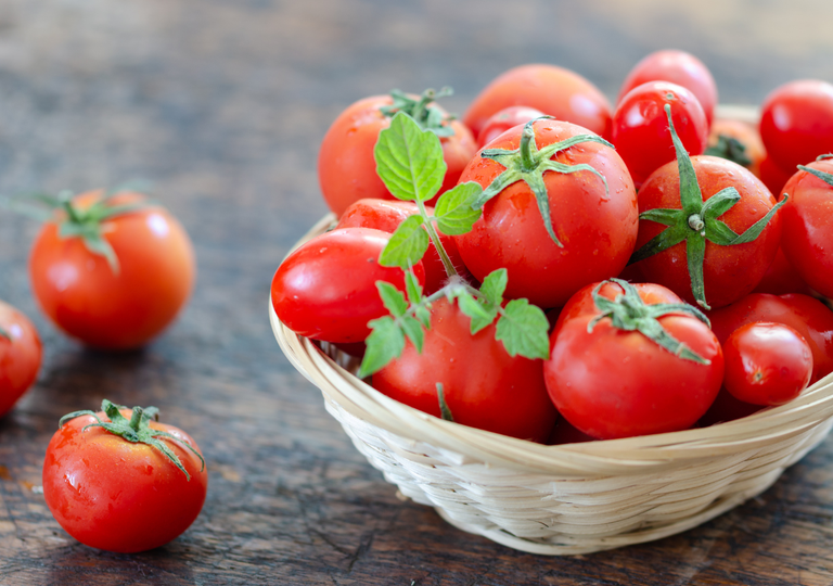 Cómo puedes saber si un tomate está maduro y listo para la cosecha