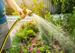 Cómo regar tus plantas usando menos agua y sin que se marchiten: trucos de experto para un éxito asegurado