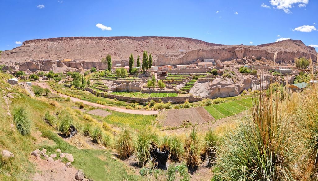 Las terrazas agrícolas de Caspana permiten cultivar en pendientes y aprovechar mejor el agua en pleno desierto de altura.
