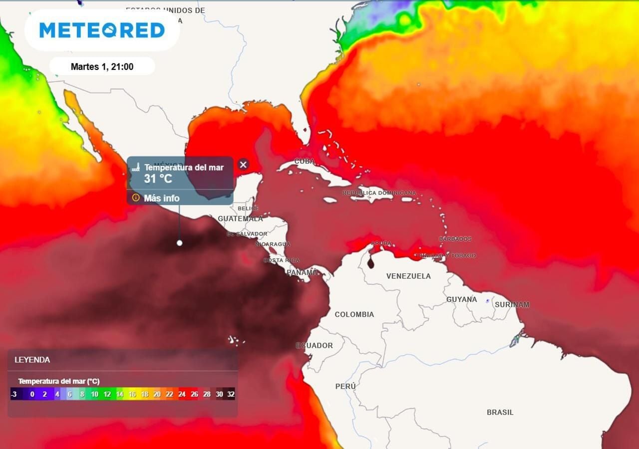 El fenómeno de las olas de calor marinas no solo afecta a los ecosistemas marinos, sino que también tienen repercusiones globales en el clima y en las actividades humanas.