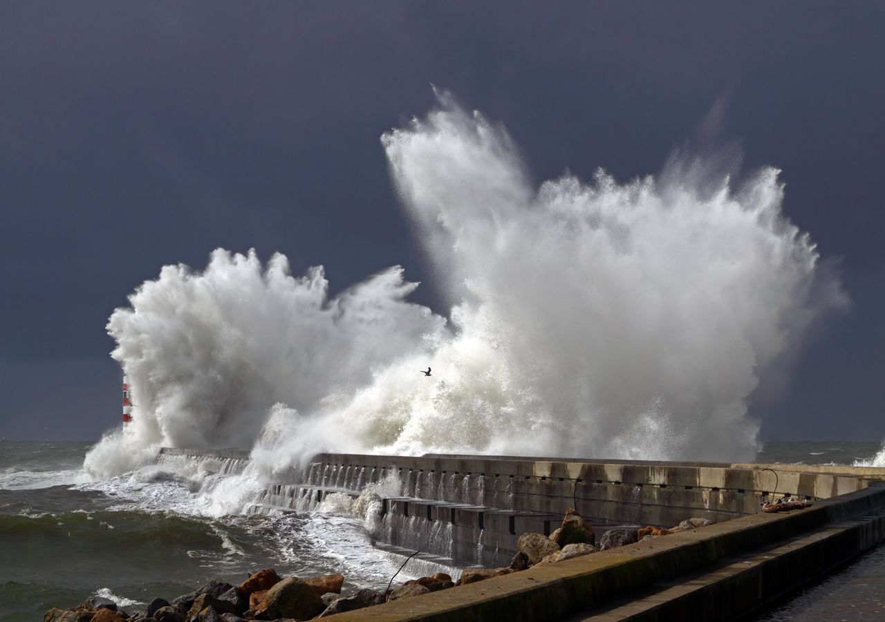 Un satélite registró con precisión las ondas del tsunami generado por el terremoto de Kamchatka de 2025. Los datos permiten analizar cómo se forman los tsunamis cerca de la fosa oceánica y ayudan a comprender mejor su origen y propagación.