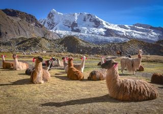 Uma geóloga chilena revela como é que a Cordilheira dos Andes se formou!