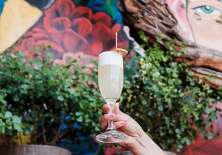 ¿Cómo se prepara un pisco sour invernal?: versión con canela, clavo o jengibre para los días fríos