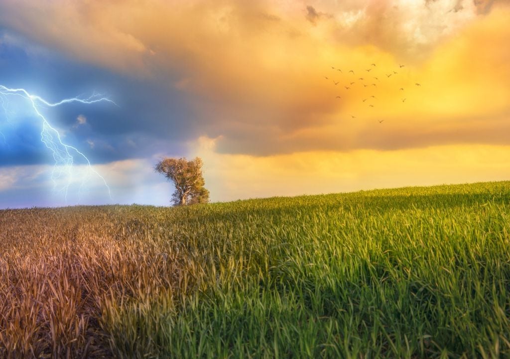 Mudanças de estação