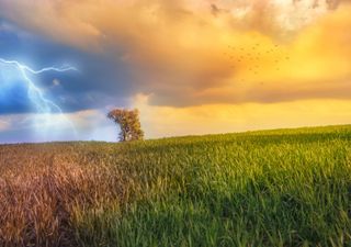 Como será a segunda quinzena de Abril?