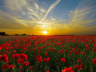 Como será a segunda quinzena de Agosto?