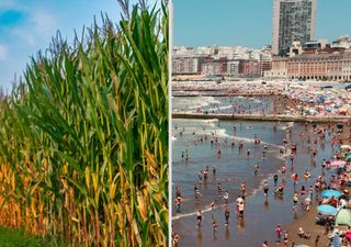 ¿Cómo será el verano? Este es el pronóstico de Meteored, mes por mes, para los principales centros turísticos y el agro