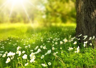 ¿Cómo será la primavera 2024 en Argentina? Pronóstico de Meteored por Mauricio Saldívar