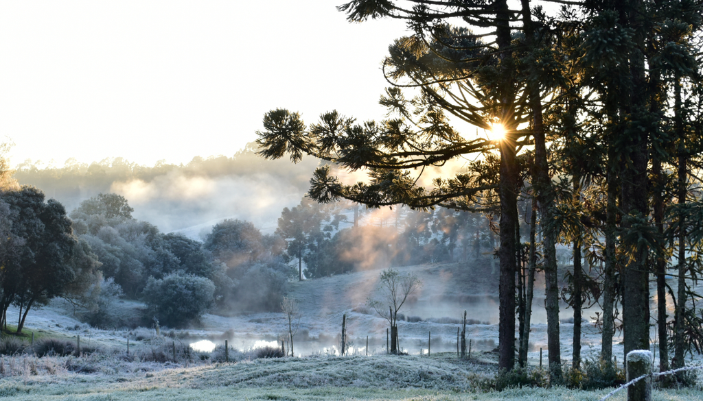 O segundo mês do inverno meteorológico deve combinar episódios de frio no centro-sul com mudanças no padrão de chuva influenciadas pelo fortalecimento do El Niño.