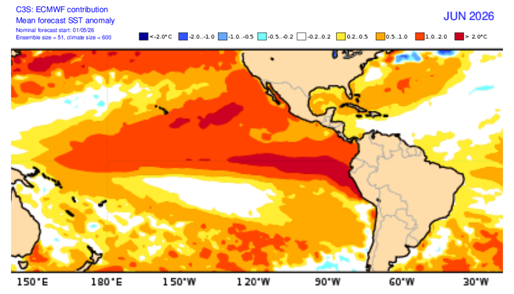 O modelo ECMWF prevê que o El Niño se estabeleça em junho, com anomalias entre 1°C e 2°C na região de monitoramento do fenômeno. Créditos: ECMWF. O modelo ECMWF prevê anomalias de temperatura da superfície do mar entre 1°C e 2°C no Pacífico Equatorial. Créditos: ECMWF.