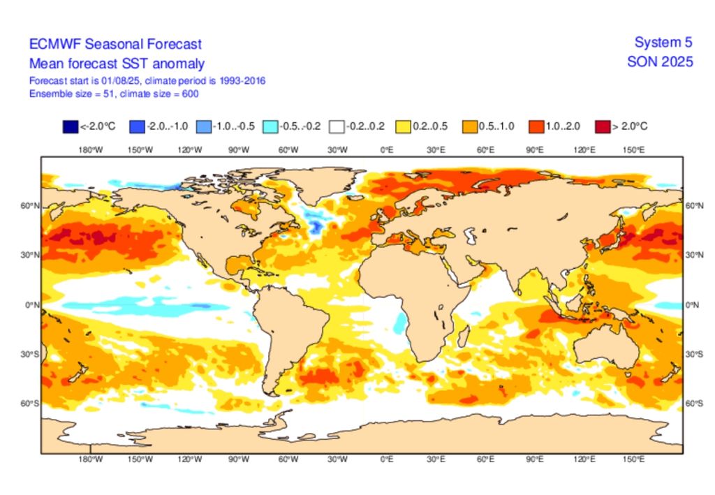 Previsão de anomalia de temperatura para o mês de setembro, de acordo com o ECMWF. Créditos: ECMWF.