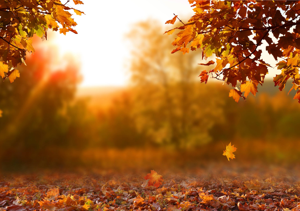 Abril é o segundo mês do outono meteorológico, um período de transição para temperaturas mais amenas e estação seca em grande parte do país. Confira a seguir se o clima previsto irá seguir este padrão.