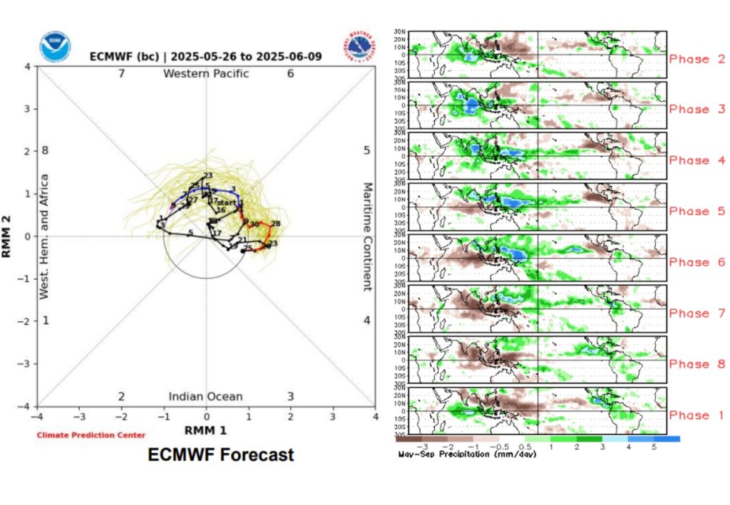 Diagrama de fases da MJO (esquerda) e regiões de influência da MJO na precipitação entre maio a setembro (direita). A Oscilação Antártica (AAO) atualmente está em sua fase negativa, e deve permanecer assim durante a primeira semana de junho, trazendo condições favoráveis para a passagem de frentes frias, cavados e áreas de baixa pressão na região Sul, tornando o tempo instável e propício à chuva.