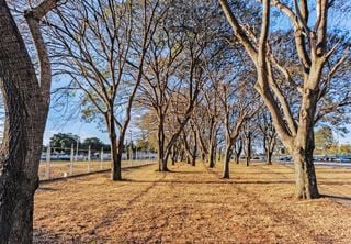 Como será o clima na segunda quinzena de julho: o frio rigoroso pode retornar