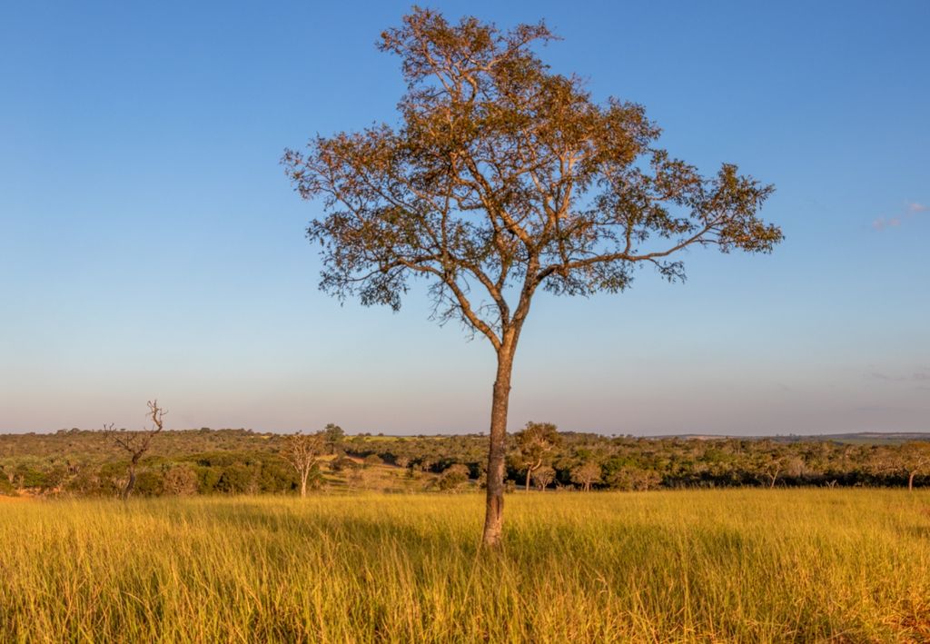 Região de alta pressão atmosférica vai elevar as temperaturas e impedir a precipitação nos próximos dias.