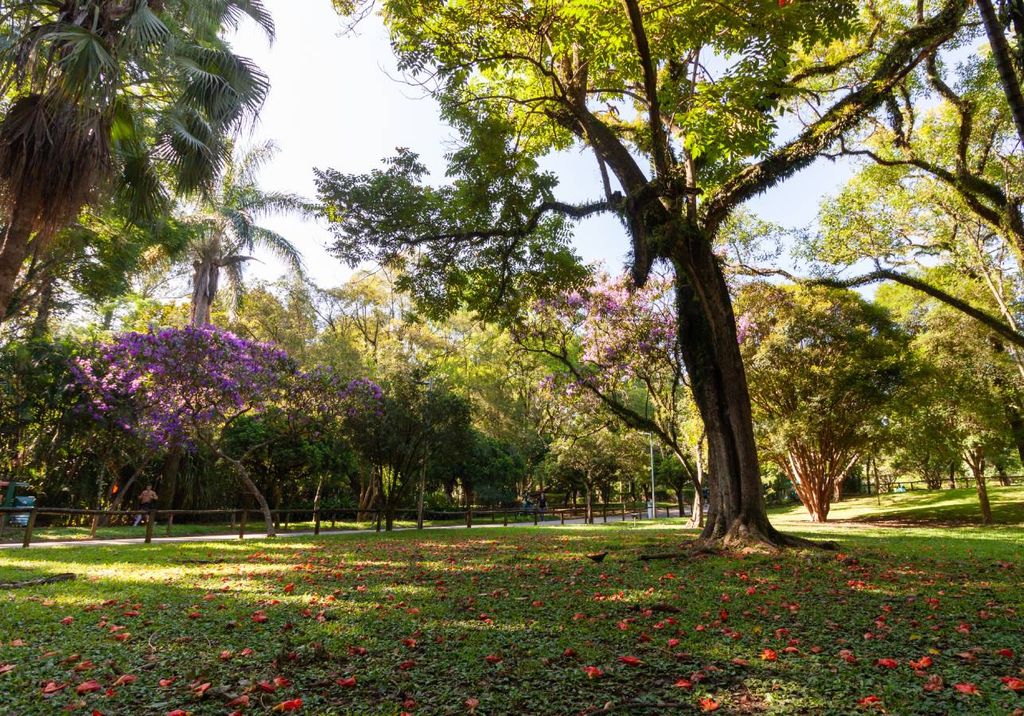 Climatologicamente, o mês de outubro marca a transição para a estação chuvosa.