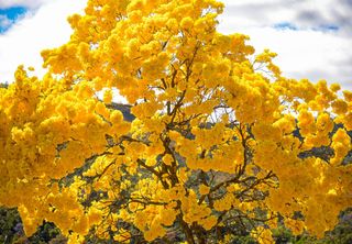Como será o clima na segunda quinzena de setembro